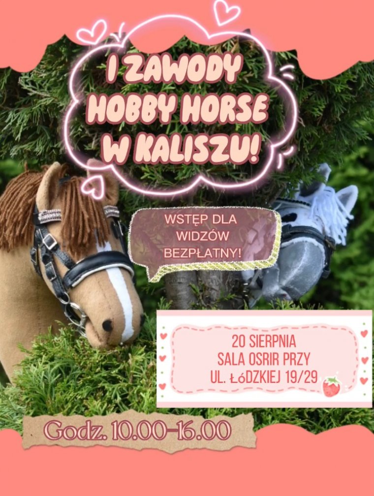 I Zawody Hobby Horse w Kaliszu
