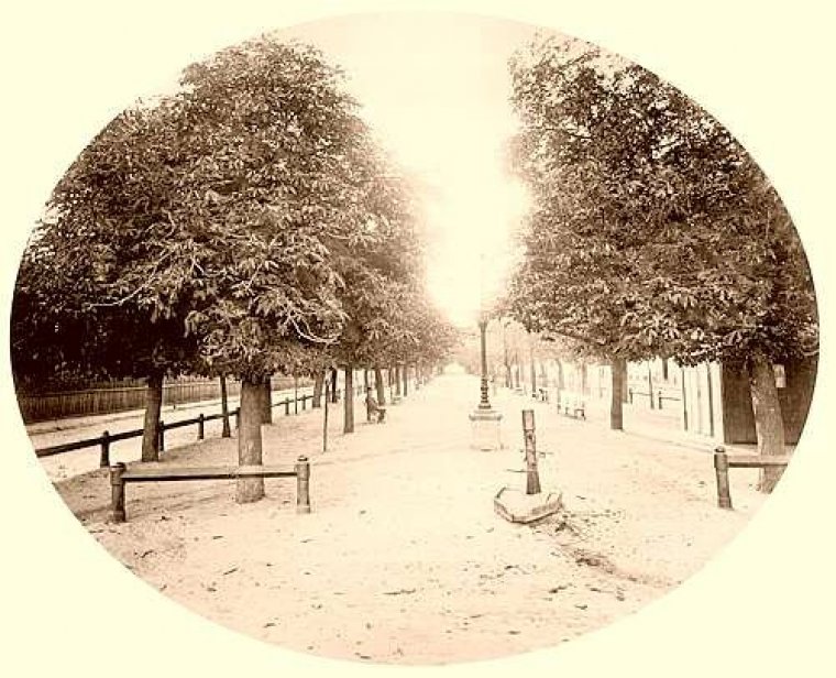 Aleja Józefiny od strony Sądu Okręgowego, fot. z 1895 r.
