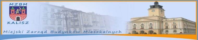 www.mzbm.kalisz.pl